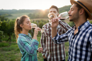 woman and two men drinking wine in a vineyard